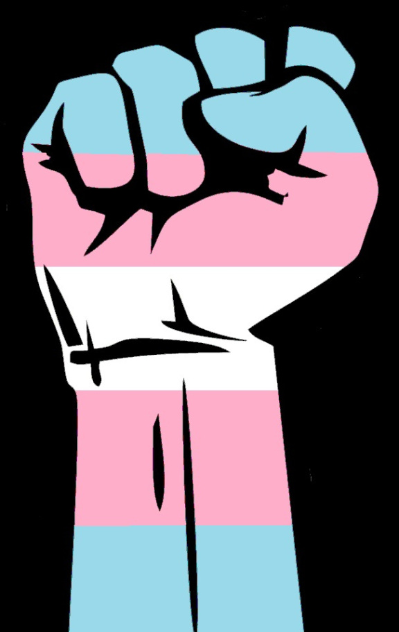 Line drawing of a clenched fist shaded with the trans pride colors