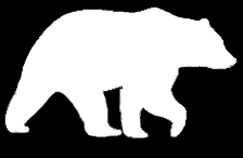 Silhouette of a walking bear