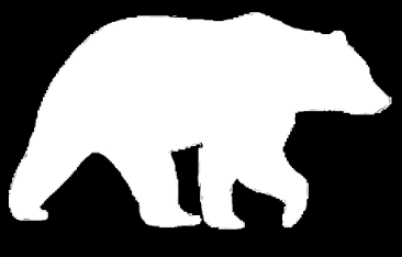 Silhouette of a walking bear